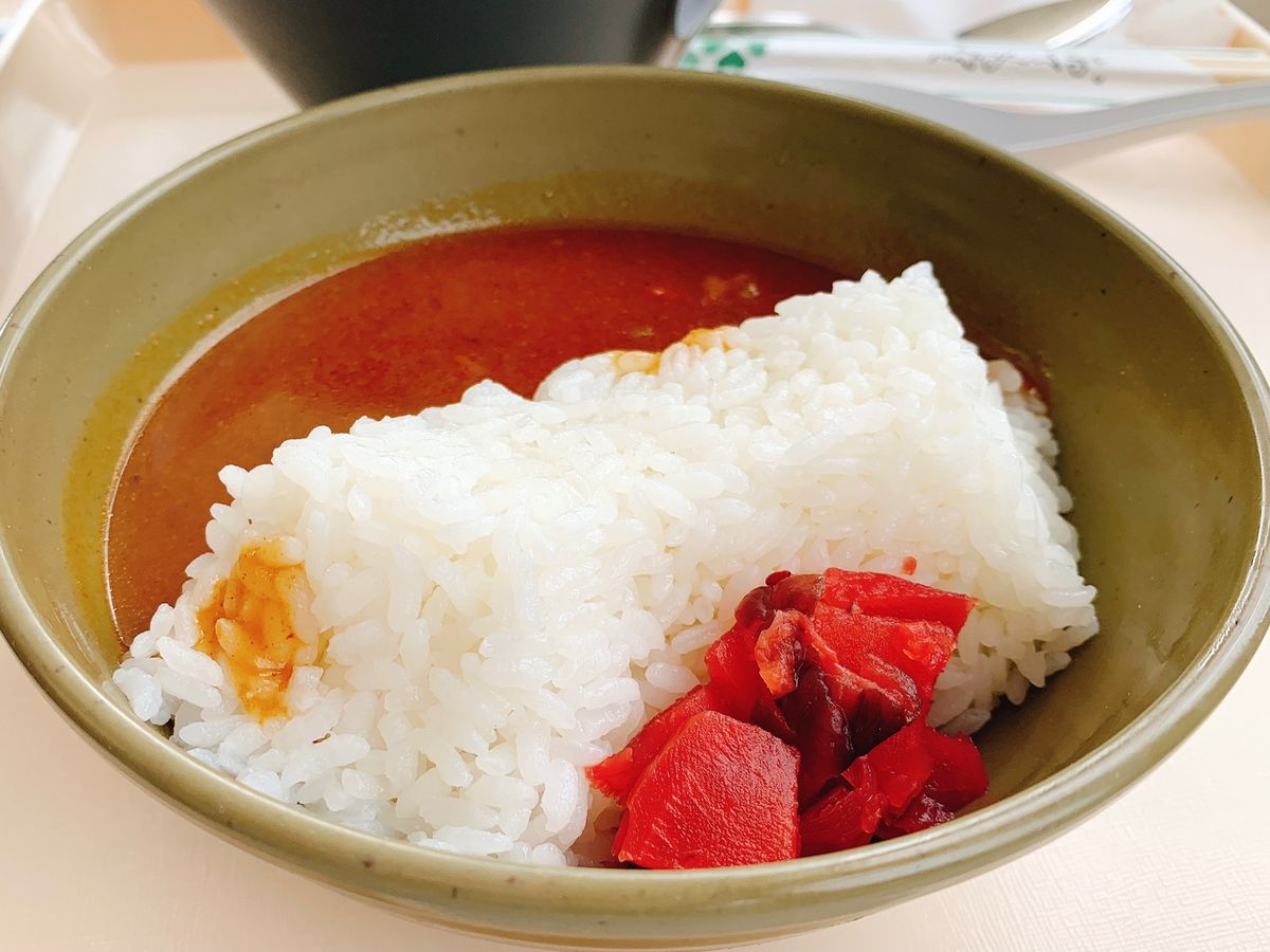 ミニダムカレー笑
黒部湖の遊覧も気持ちよくてオススメ！