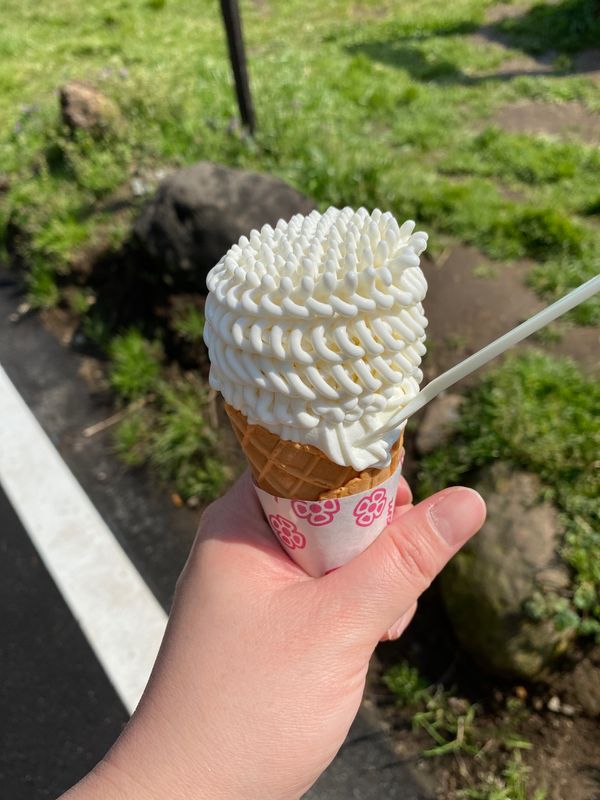 日本・熊本市「熊本旅行」の写真