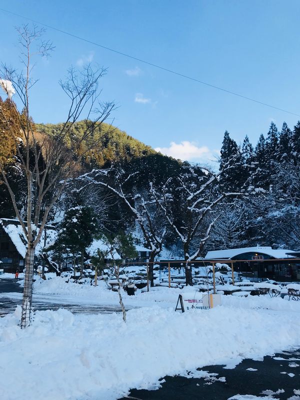 日本・岐阜「冬の岐阜美濃」の写真
