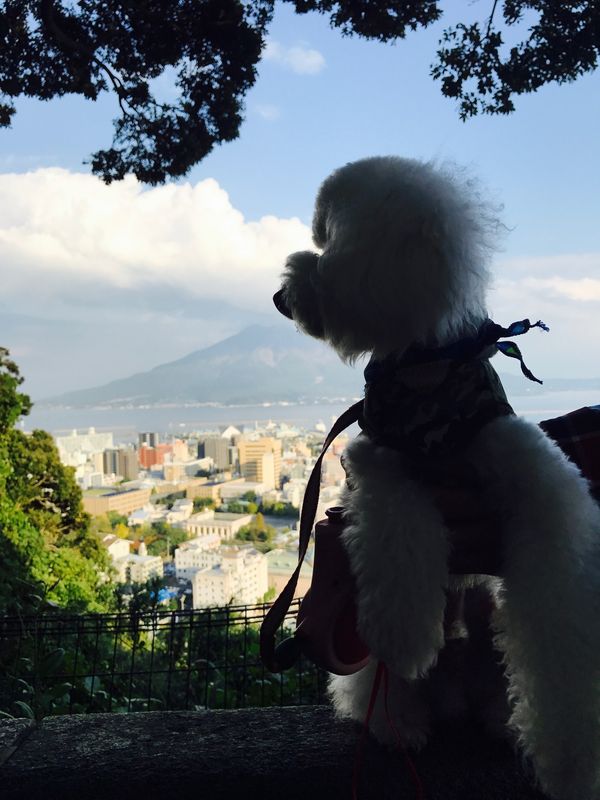 日本・鹿児島「鹿児島旅行」の写真