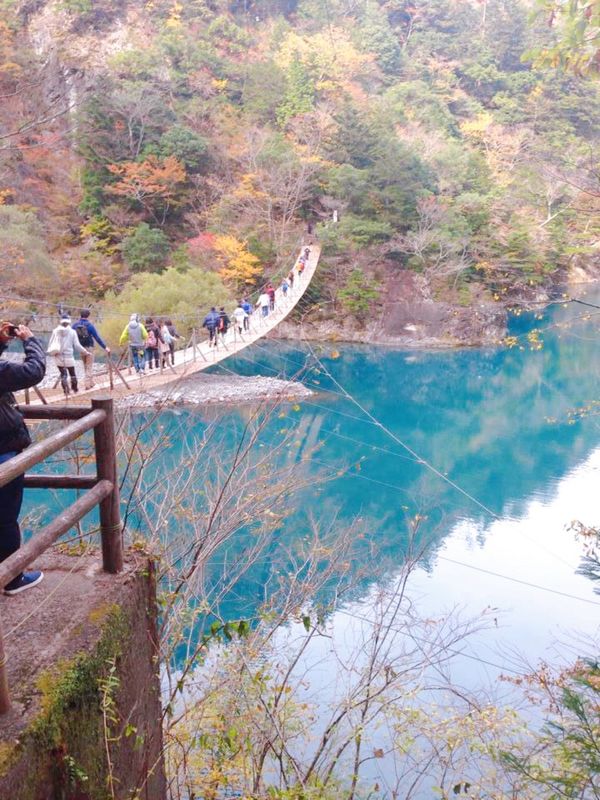 日本・静岡県「絶景・絶叫✨」の写真