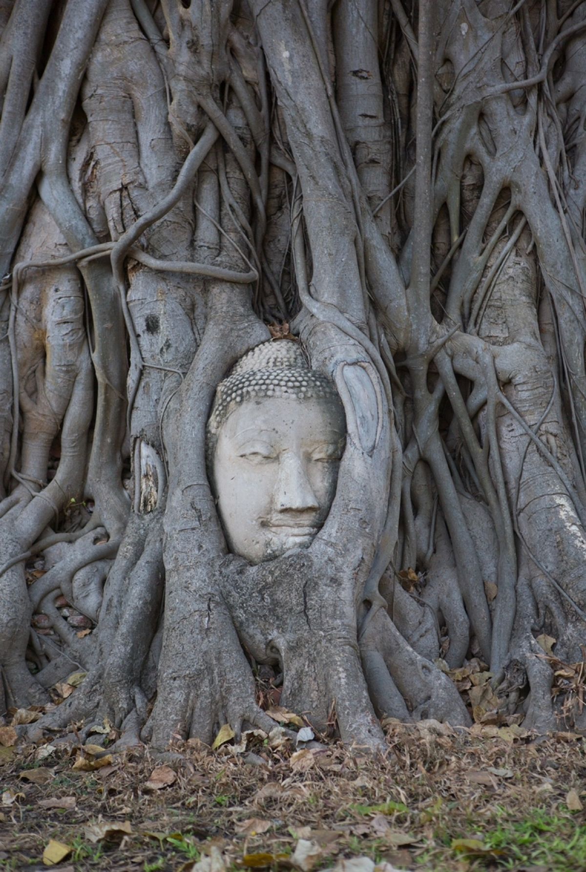 ●メークローン鉄道マーケット
●アムパワー水上マーケット
●アユタヤ　ワッ...