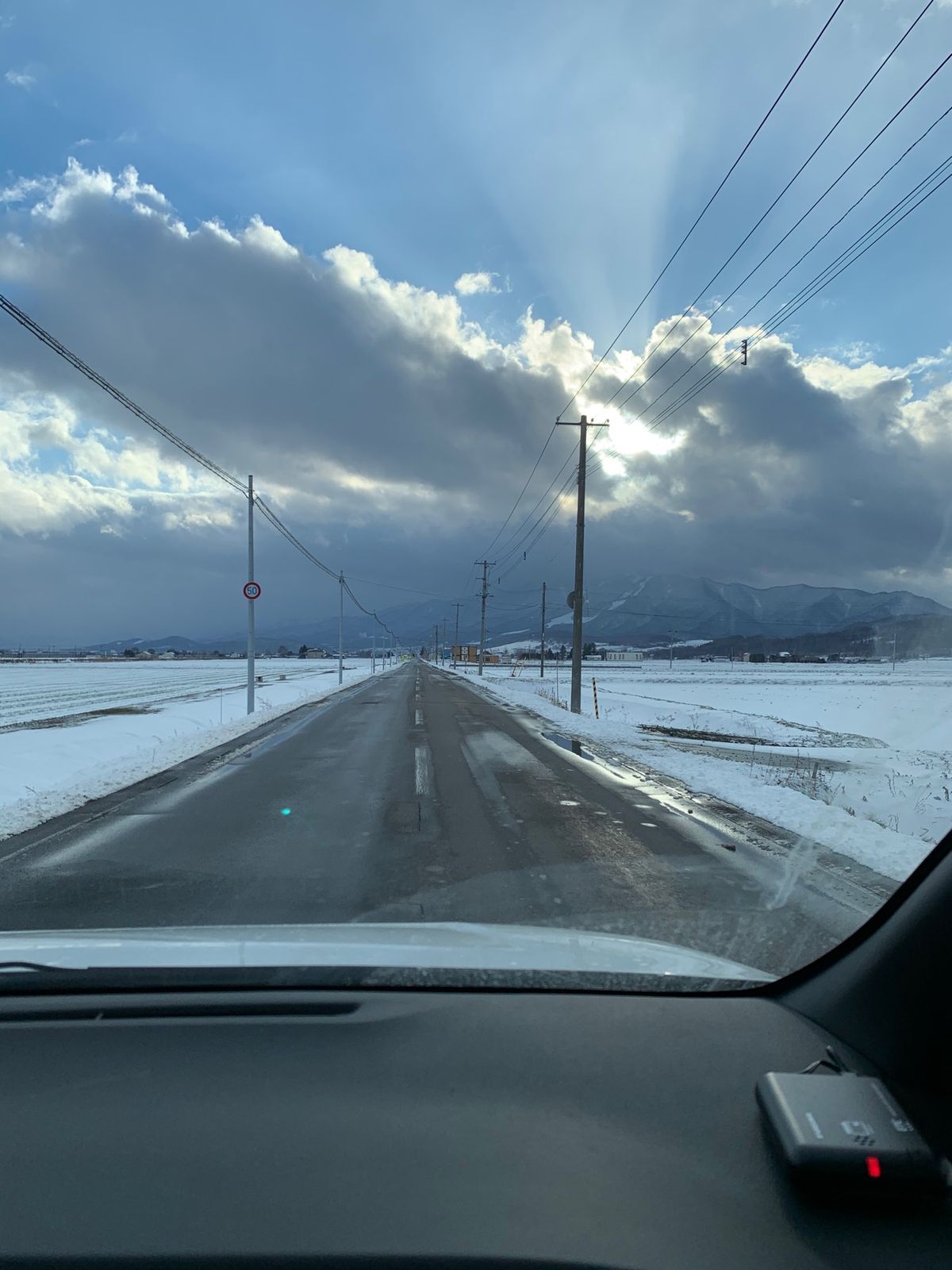 しっかり肥えて帰ってきました
