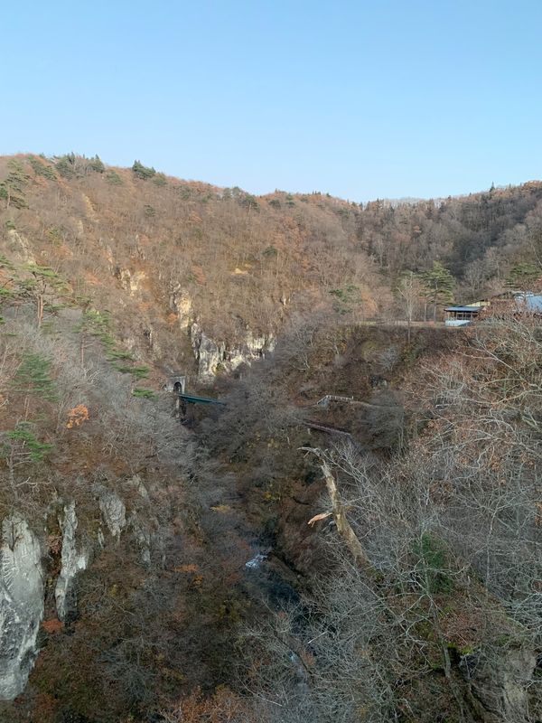 日本・宮城県「お相手さん、初東北」の写真：gotoの恩恵、素晴らしい