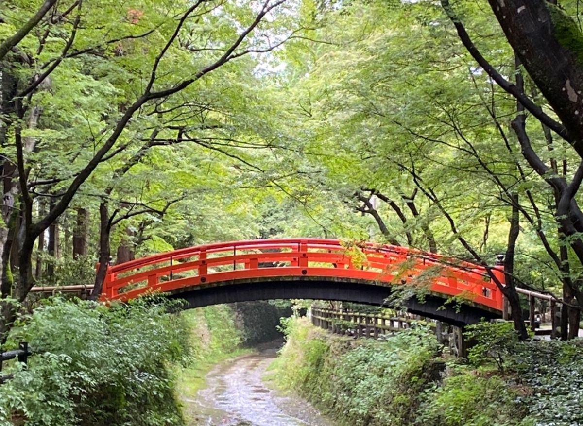 ●北野天満宮
●北野天満宮の朱い橋
●北野天満宮の花手水


梅宮大社　祇...
