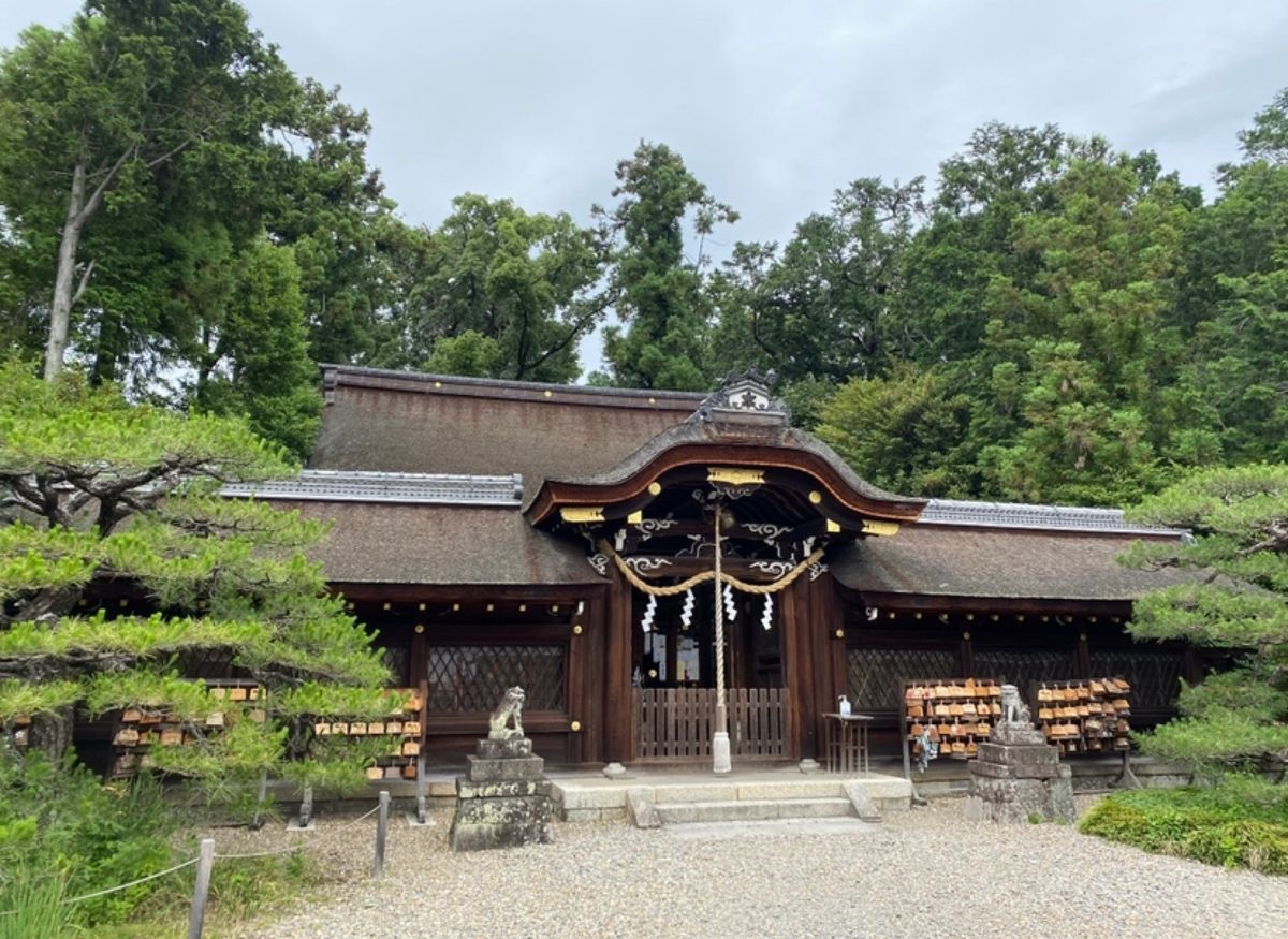 ●梅宮大社
●梅宮大社の２色の紫陽花
●あだしの念仏寺
●祇王寺の花手水
...