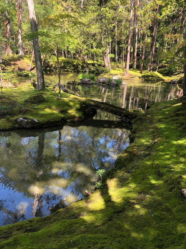 日本・大阪府大阪市「LIVE&京都」の写真
