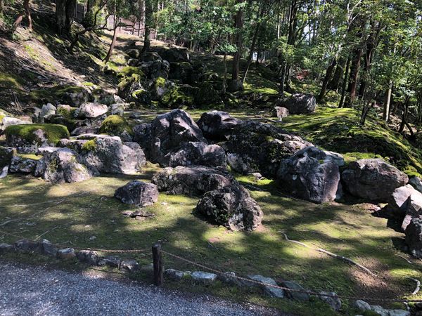 日本・大阪府大阪市「LIVE&京都」の写真