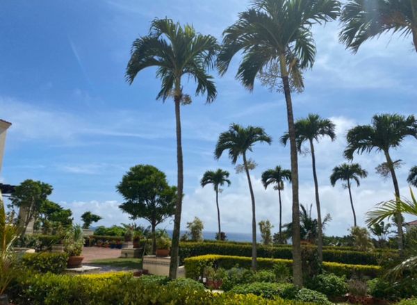 日本・沖縄県「沖縄」の写真