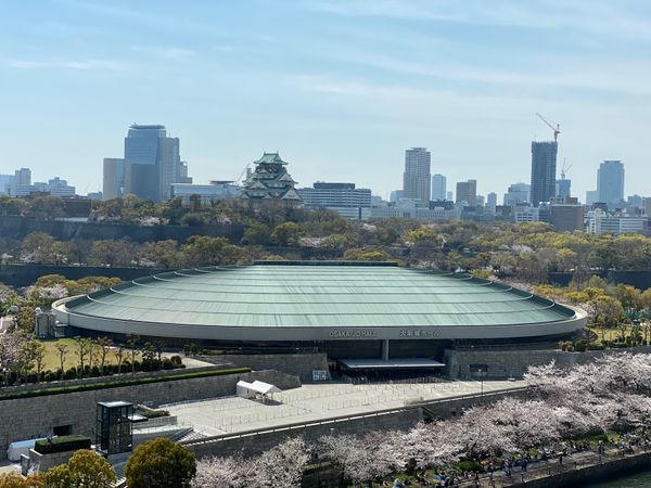 日本・京都府「LIVE&京都🌸」の写真