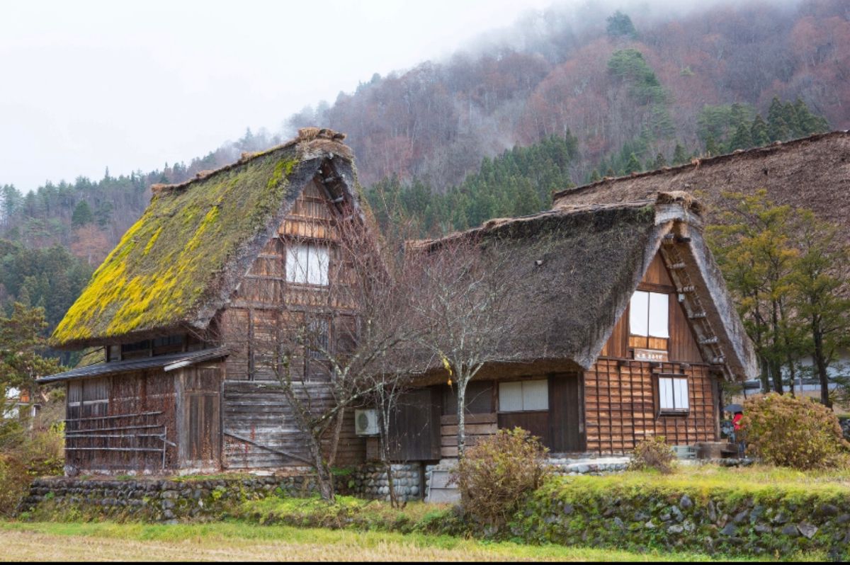 ●白川郷の全景
●白川郷の家々

２回目の白川郷。飛騨高山まで来たので、ち...