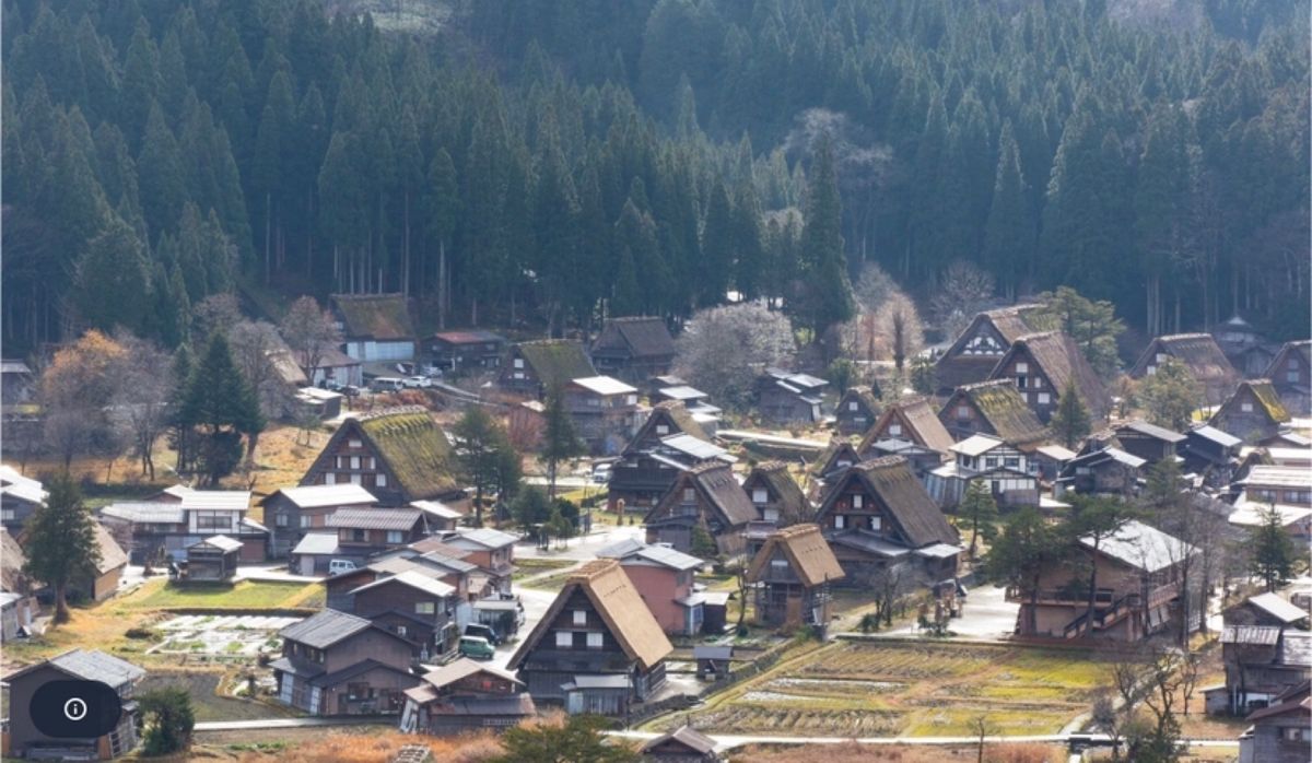 ●白川郷の全景
●白川郷の家々

２回目の白川郷。飛騨高山まで来たので、ち...