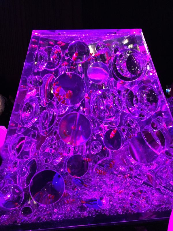 日本・東京都「アートアクアリウム」の写真