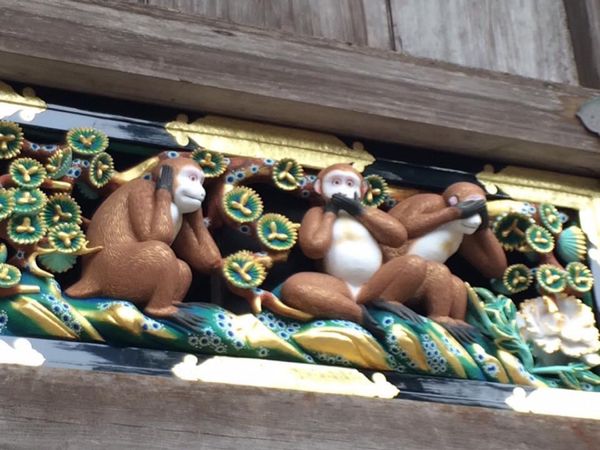 日本・栃木県「栃木弾丸ロードトリップ」の写真：日光
益子
足利フラワーパーク