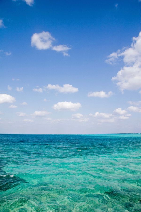 日本・沖縄県宮古島「宮古列島遠征」の写真：宮古島
●池間大橋付近の青い海
●東平安...