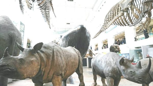 イギリス(英国)・ロンドン「ロンドン・パリ学生旅行」の写真