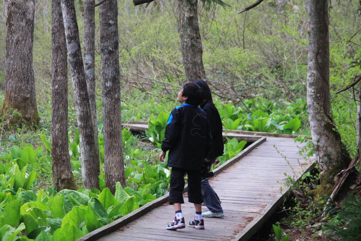 　森林公園でバードウォッチングも楽しみました。
　水芭蕉が咲いていました。