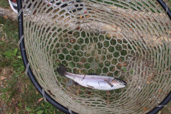 日本・長野県「2009GW 信州白馬」の写真：　ルアーフィッシングを楽しみました。管理...