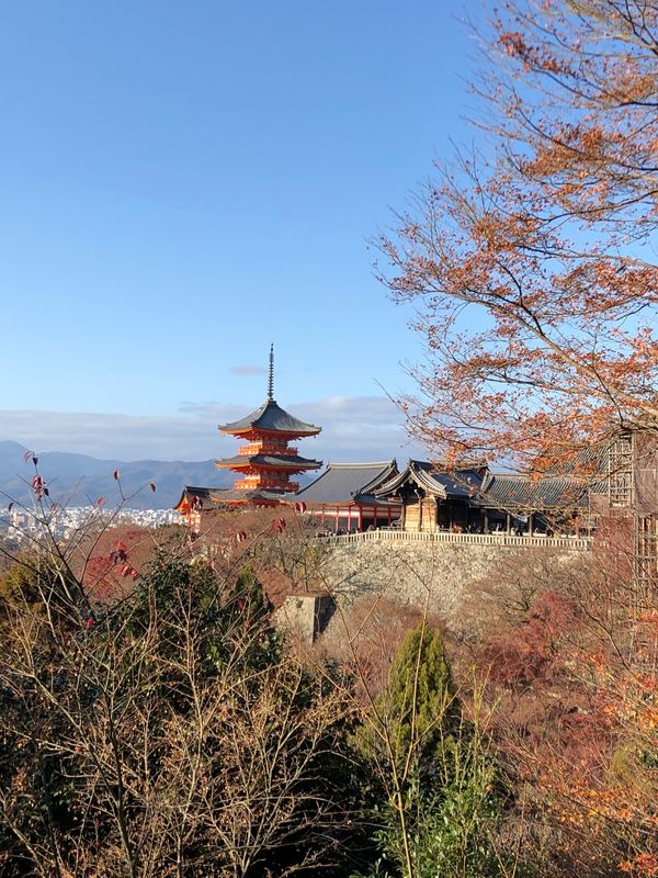 日本・京都府「職員旅行」の写真