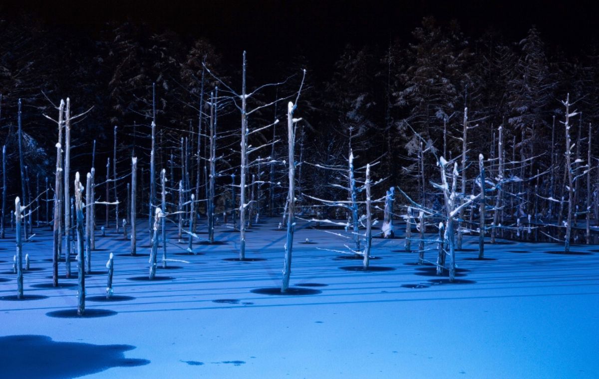北海道　美瑛
●青い池のライトアップ

慣れない雪道を車でレンタカーを運転...