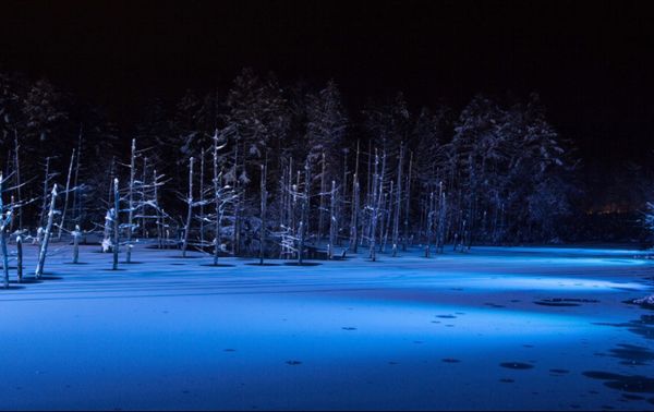 日本・北海道「美瑛・富良野　JALどこかにマイル旅３回目」の写真：北海道　美瑛
●青い池のライトアップ

...
