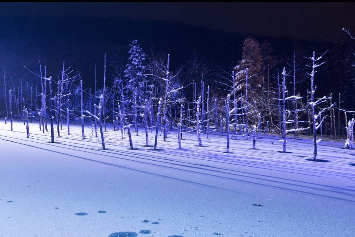 北海道　美瑛
●青い池のライトアップ

慣れない雪道を車でレンタカーを運転...
