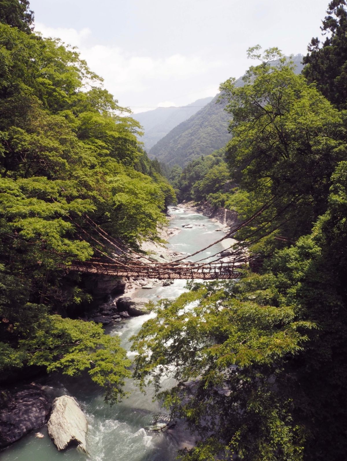 徳島県
●祖谷のかずら橋
●祖谷のかずら橋
●鳴門の渦潮
●鳴門の渦潮

...
