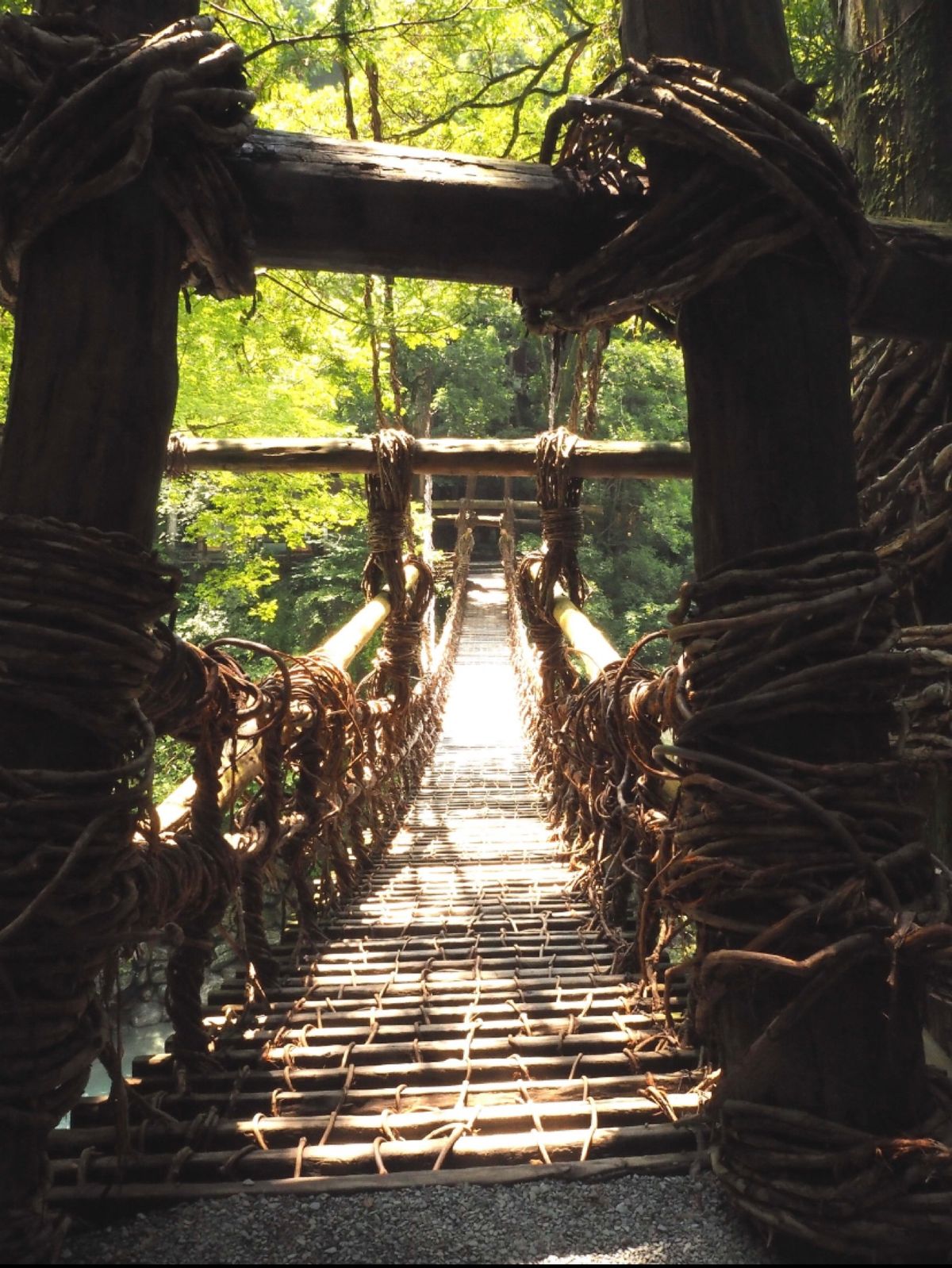 徳島県
●祖谷のかずら橋
●祖谷のかずら橋
●鳴門の渦潮
●鳴門の渦潮

...