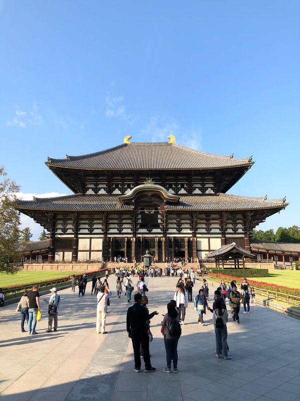 日本・大阪府「研修」の写真