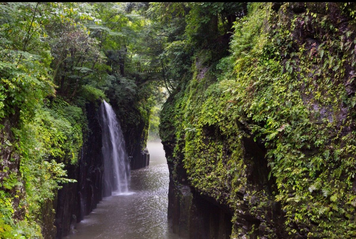 高千穂峡
●真名井の滝

台風が近づいていて、水も濁り気味。夜のライトアッ...