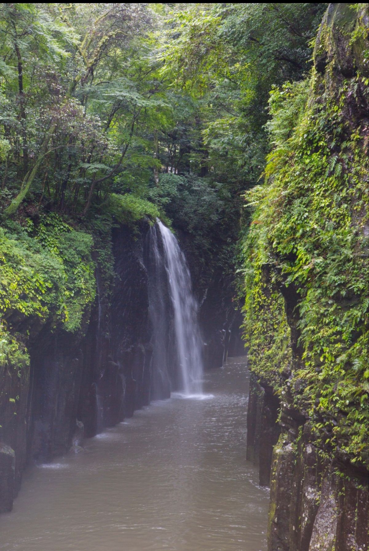 高千穂峡
●真名井の滝

台風が近づいていて、水も濁り気味。夜のライトアッ...