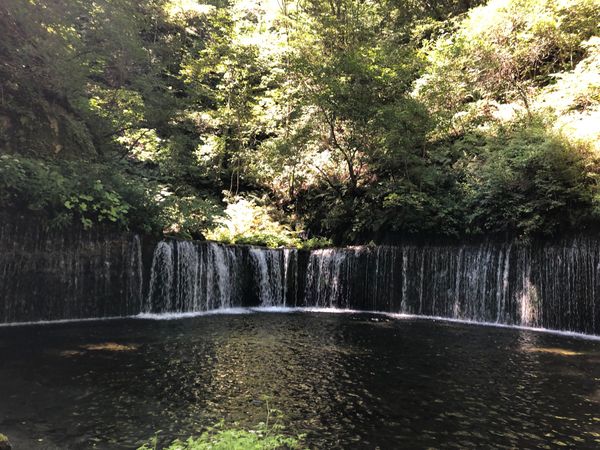 日本・長野県「軽井沢マタ旅」の写真