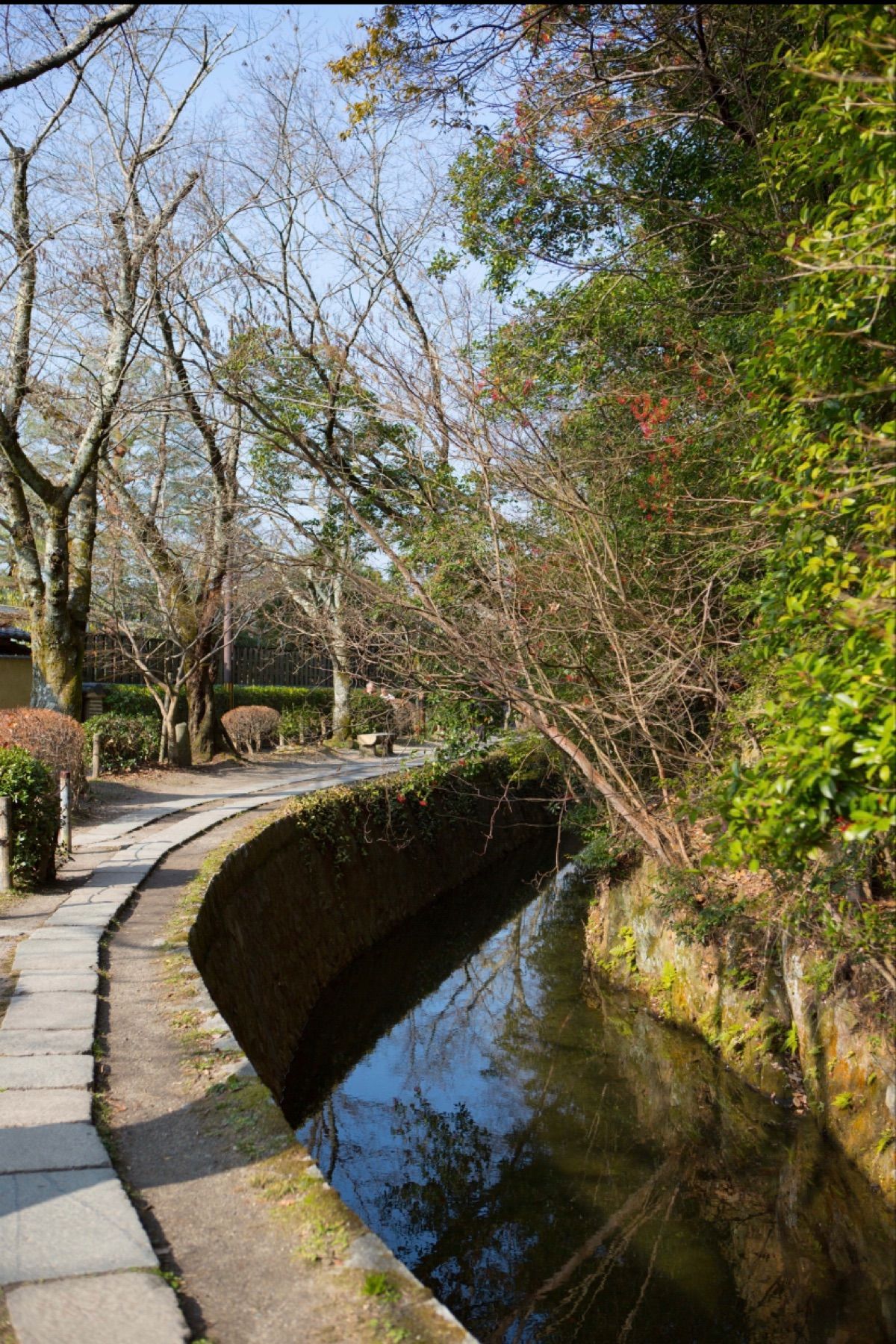 京都
●法観寺　八坂の塔
●南禅寺　水道橋
●南禅寺　水道橋
●哲学の道
...