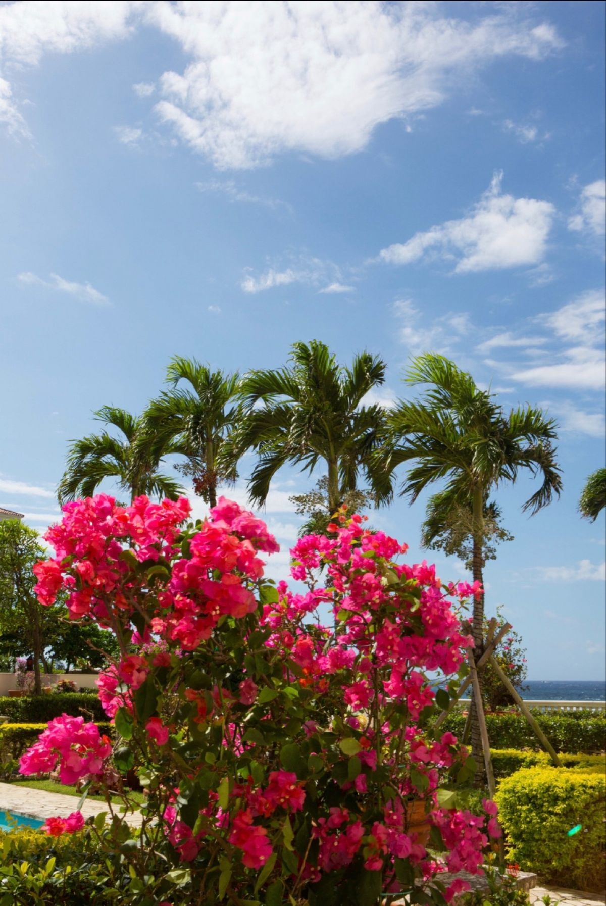沖縄県読谷村
ホテル日航アリビラ
●廊下
●玄関
●シーサーのこどもたち
...