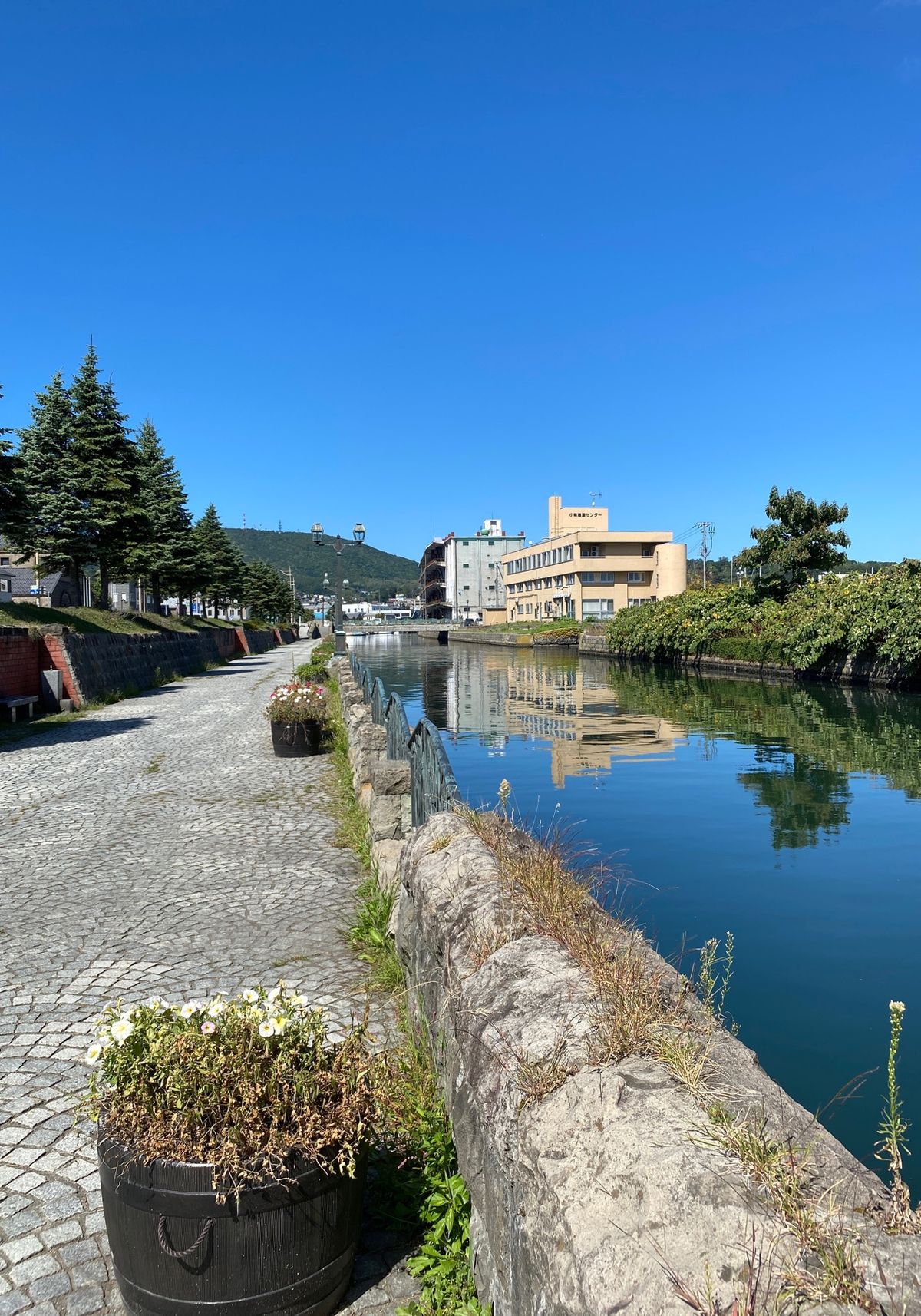 小樽。
散策していると港から吹く風が心地いい。
天気が良過ぎて陽射しが強か...