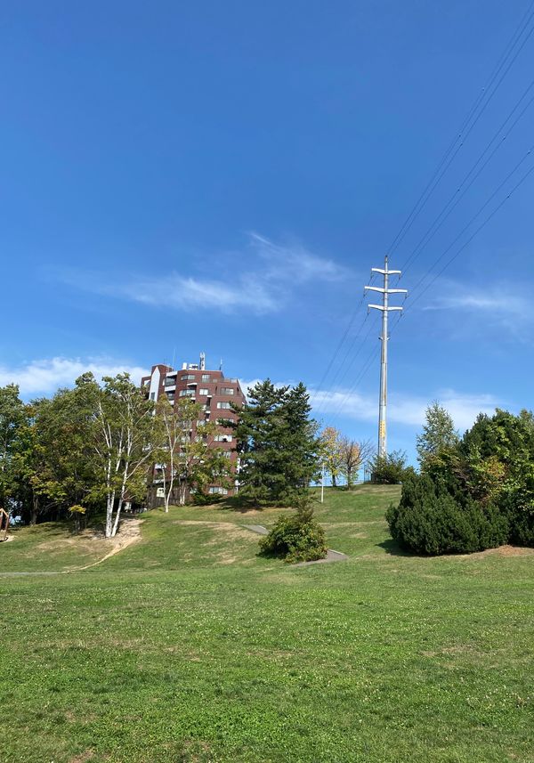 日本・北海道「検査を受けて北海道」の写真：今回もしっかり平岸高台公園。
魂を抜いて...