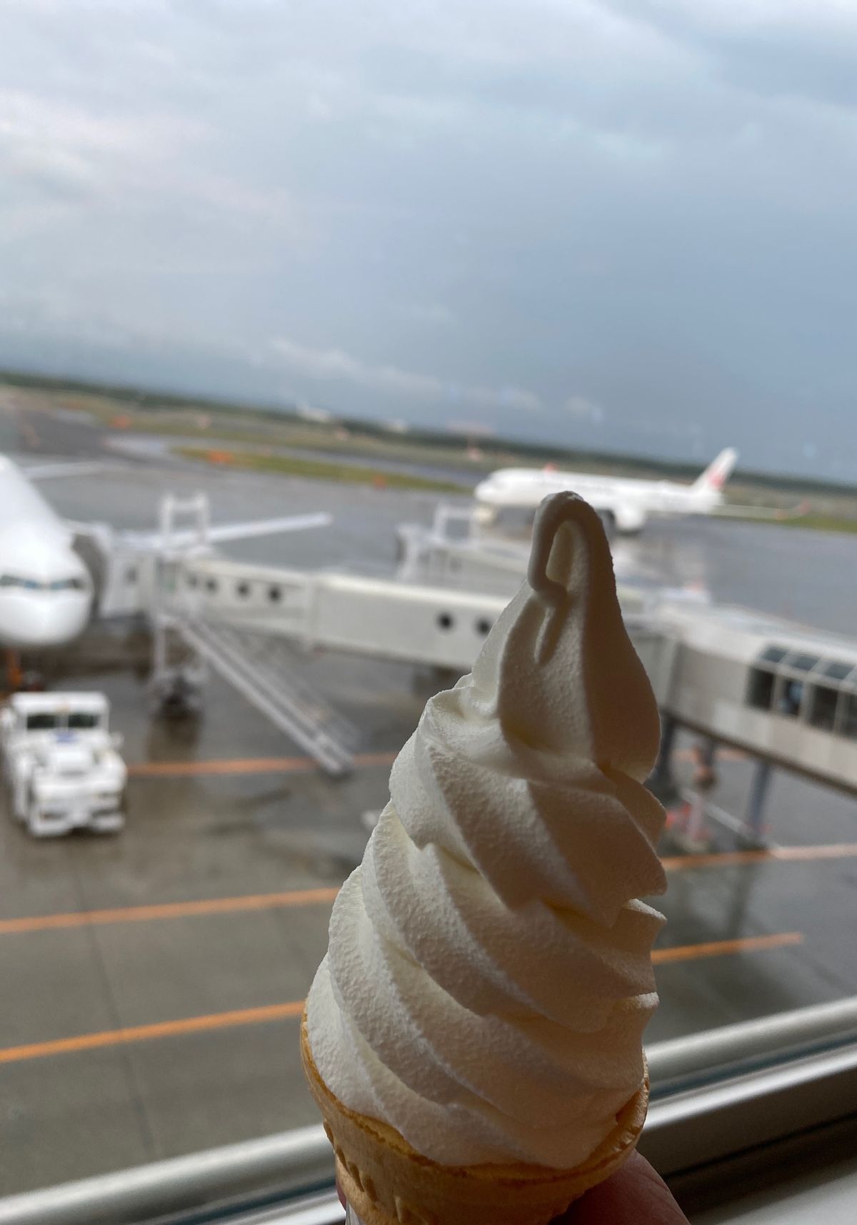 今回の3日目は移動メイン。
ランチに一幻さんのえびそばをいただいてから新千...