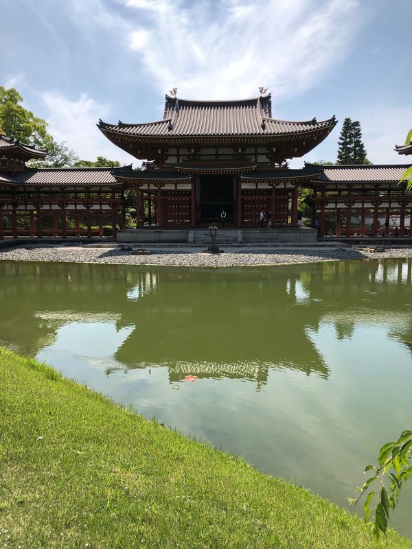 日本・京都府「研修」の写真