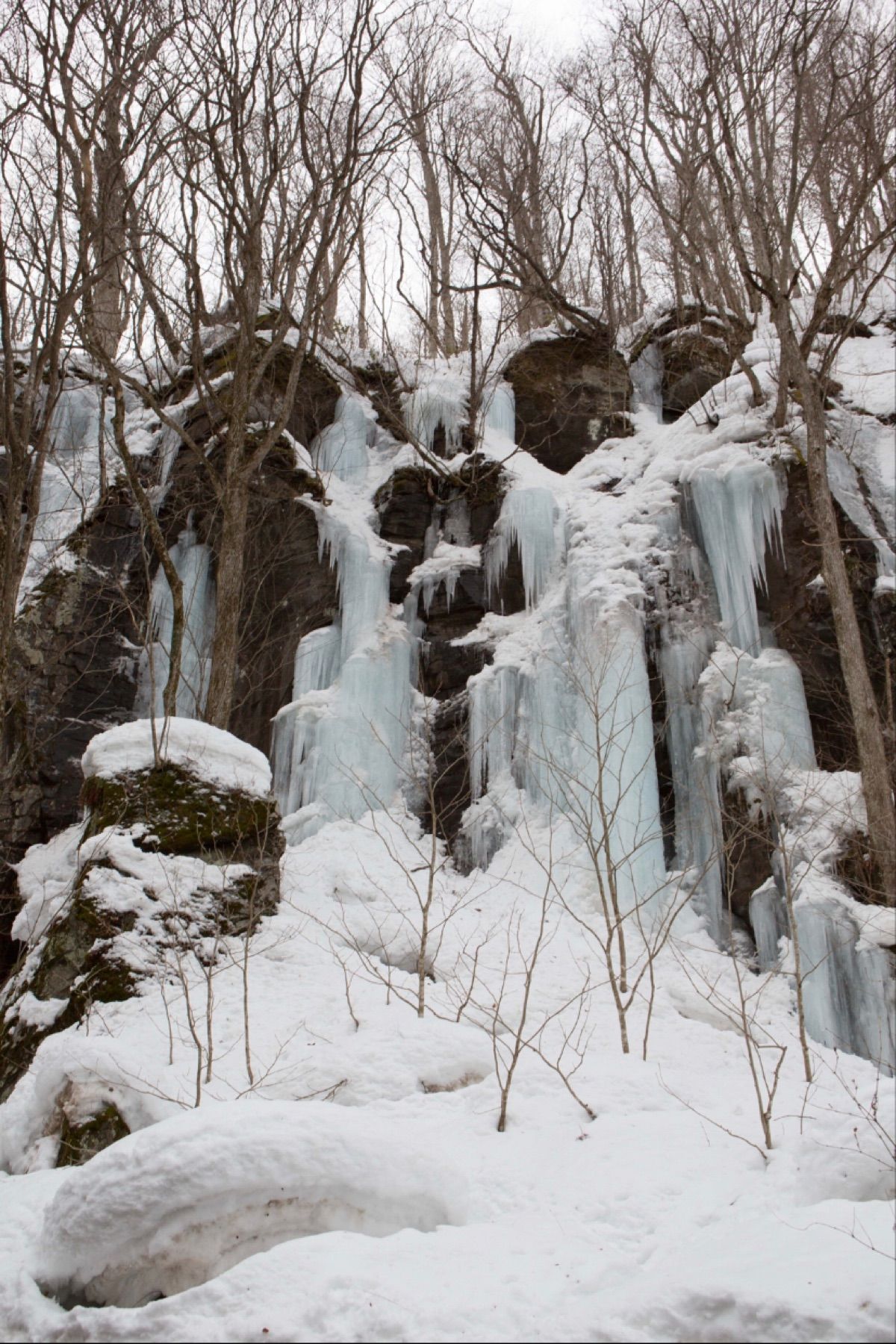 奥入瀬渓流
●馬モン岩
●さみだれ
●千筋の滝

もっともっとすごい風景を...