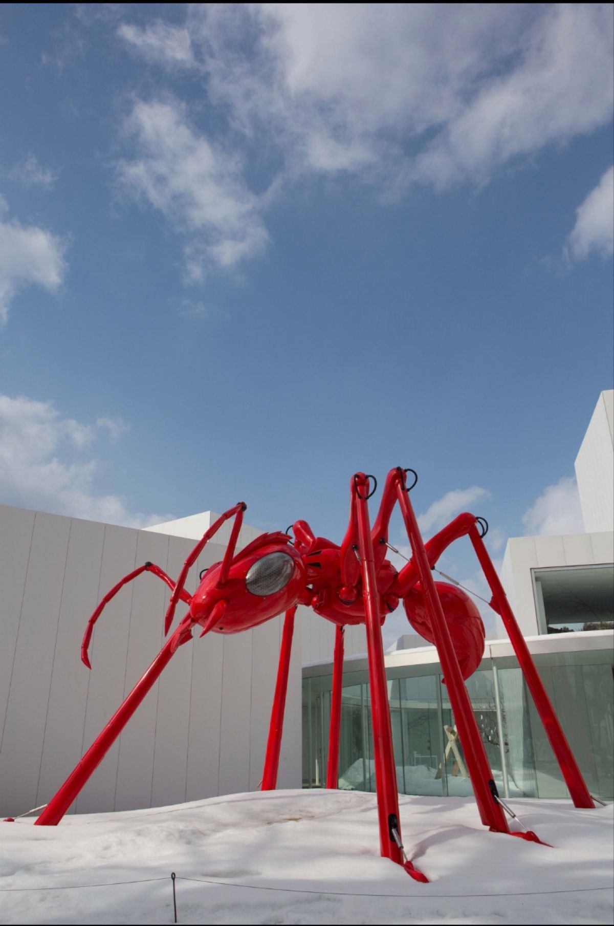 十和田市現代美術館
●フラワーホース
●アッタ
●スタンディング・ウーマン...