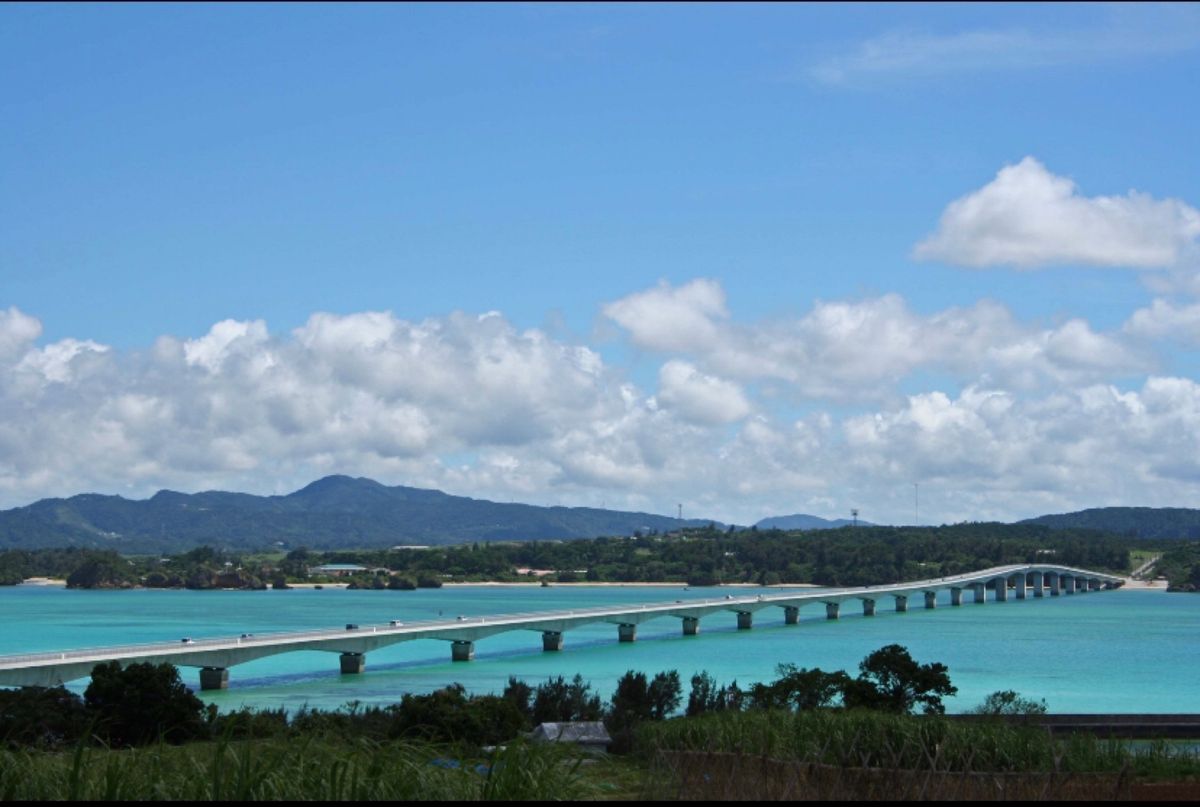 ●ホテル日航アリビラのニライビーチ
●万座毛
●古宇利島大橋
●白とピンク...
