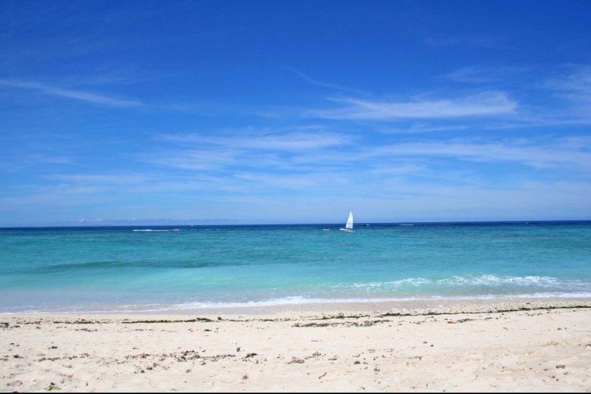 ●ホテル日航アリビラのニライビーチ
●万座毛
●古宇利島大橋
●白とピンク...