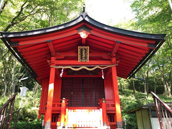 日本・箱根「温泉満喫　箱根旅」の写真：九頭龍神社と箱根神社に参拝。一泊目は部屋...