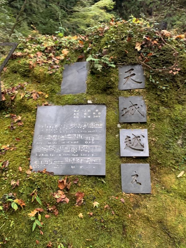 日本・静岡県「天城越え」の写真：天城越え～🎶浄蓮の滝とても綺麗だった😊
...