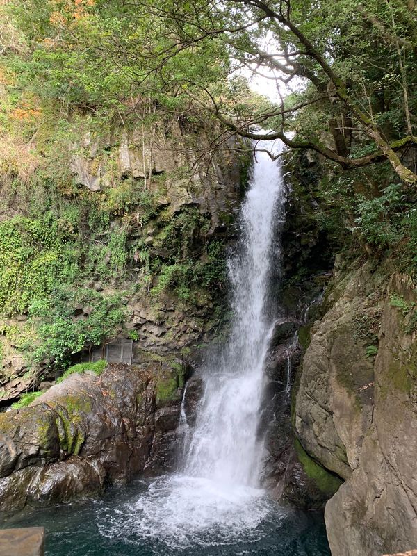 日本・静岡県「天城越え」の写真