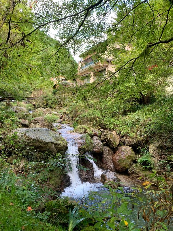 日本・埼玉県「埼玉県、黒山三滝」の写真