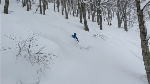 日本・長野県白馬村「白馬コルチナ」の写真