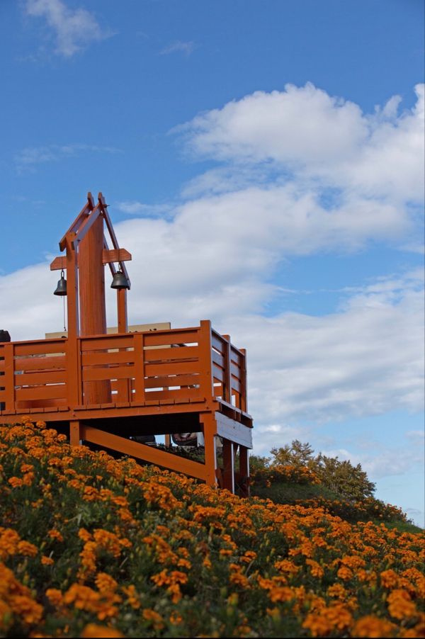 日本・新潟県「コキアの見にアルプの里へ　越後湯沢」の写真：越後湯沢　アルプの里
●天空の鐘
●コキ...