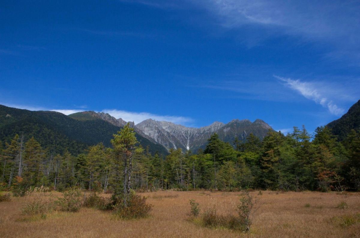 長野県上高地
●梓川と穂高
●梓さん
●大正池
●田代湿原

空気が綺麗で...