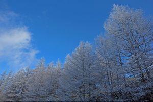 長野県美ヶ原高原
●北アルプスの夕焼け
●樹氷
●太陽と樹氷
●月と樹氷
...